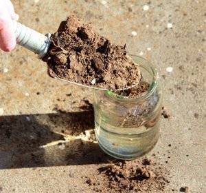 Определение кислотности почвы на даче самостоятельно