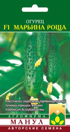 Огурцы марьина роща: описание сорта, сколько дают урожая, выращивание, фото