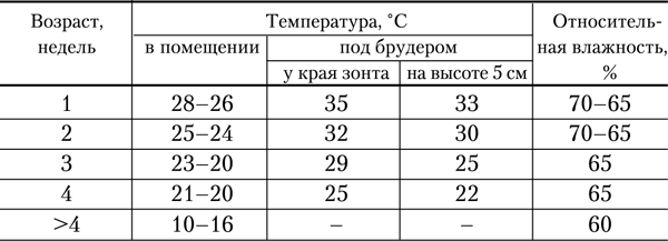 Температурный режим для цыплят-бройлеров: таблица по дням и условия содержания