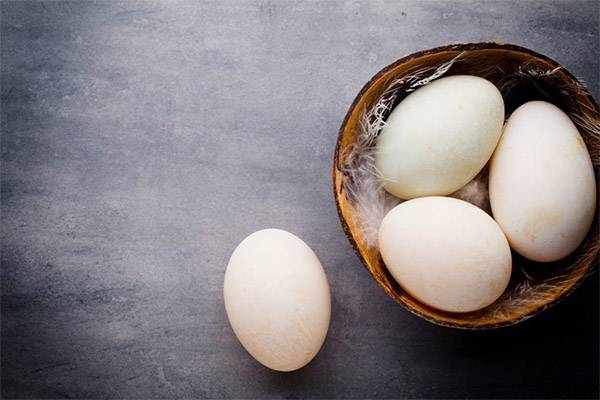 Куриные яйца — польза и вред для организма мужчины и женщины. полезные свойства и противопоказания