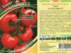 Гибрид томата «благовест f1»:  описание и характеристики сорта помидоров, рекомендации по выращиванию