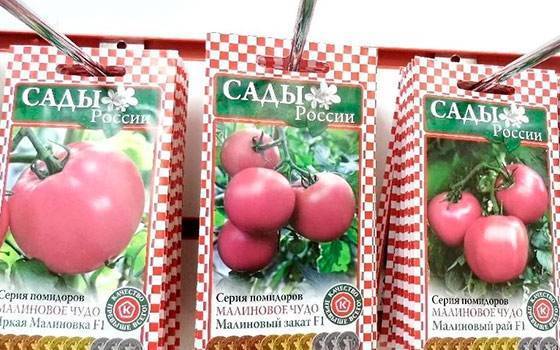 Сорта томатов: малиновое чудо (серии)