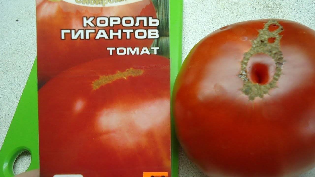Крупноплодный фаворит фермеров — томат гигант: описание сорта и особенности его выращивания