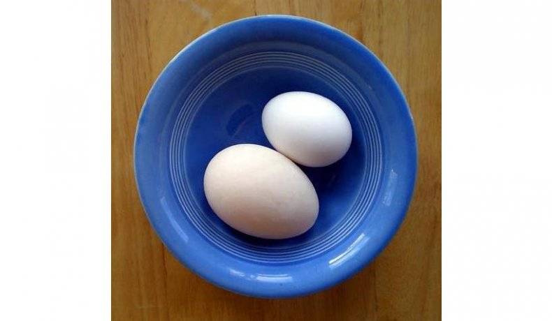 Утиные яйца — польза и вред для организма мужчины и женщины. полезные свойства и противопоказания