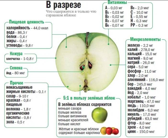 Калорийность яблок: сколько калорий в зеленых и красных плодах, в 100 граммах и 1 шт, их бжу