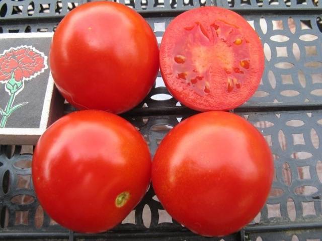 Характеристика сорта томата солероссо, его урожайность – дачные дела
