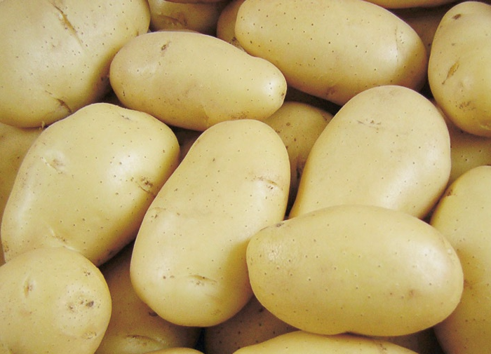 Картофель лина