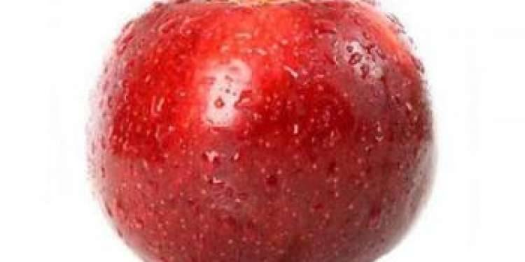 Яблоня голд раш: описание, фото, характеристика плодов