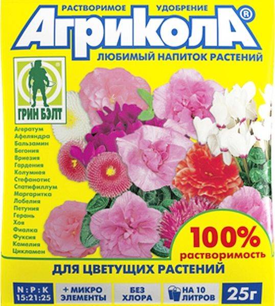 Почему не цветут спатифиллумы в домашних условиях и как заставить зацвести