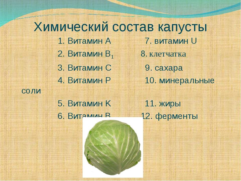 Минеральный и витаминный состав белокочанной капусты — проовощи.ру