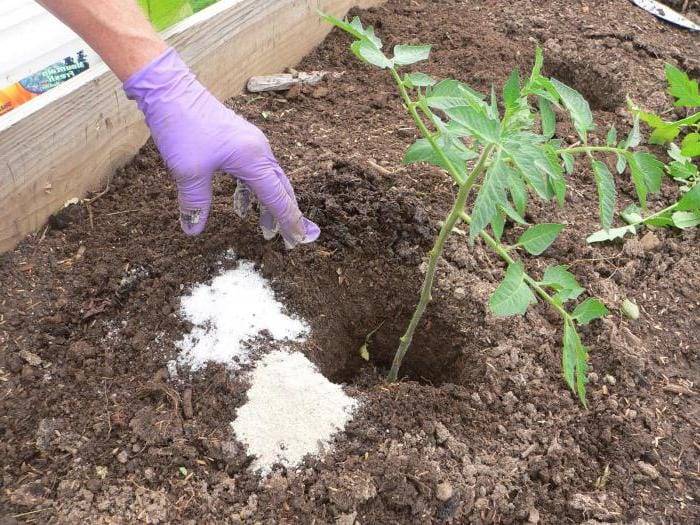 Удобрение сульфат калия: применение на огороде, состав и что это такое - почва.нет