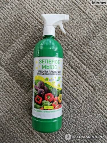 Зеленое мыло - инсектицид от вредителей, инструкция, применение, рецепты