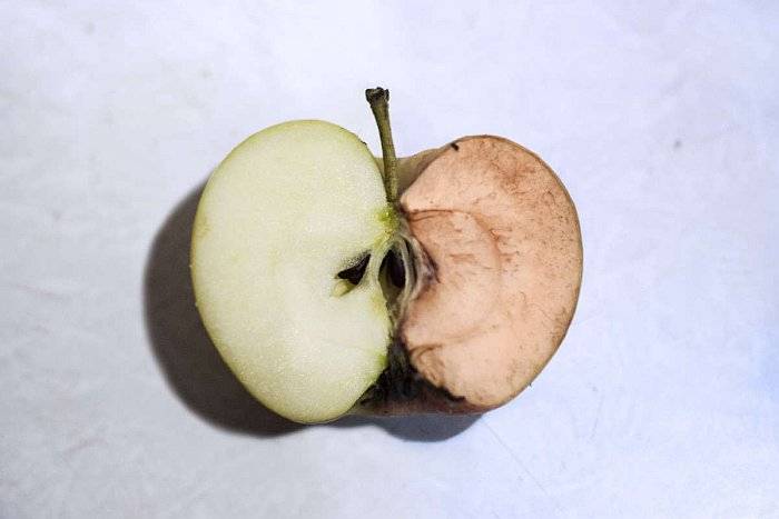 Причины потемнения яблок на срезе