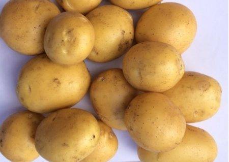 Сорт картофеля латона: характеристика, описание с фото, отзывы
