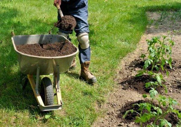 Удобрения для картофеля при посадке и осенью: виды, как вносить. советы огородников