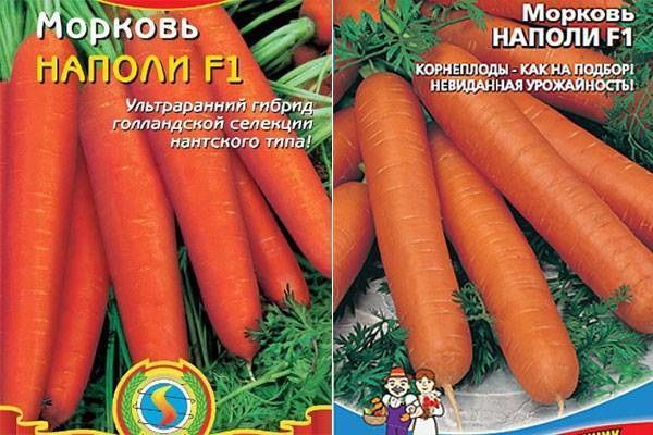 Морковь балтимор f1 описание фото отзывы |