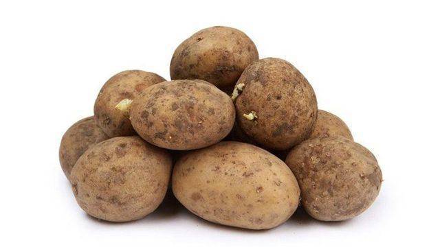 Описание картофеля Колетте: выращивание и отзывы огородников