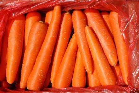 Морковь королева осени: описание сорта, отзывы, фото