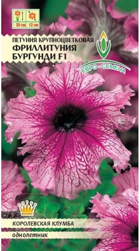 Фриллитунии — петунии с огромными цветками