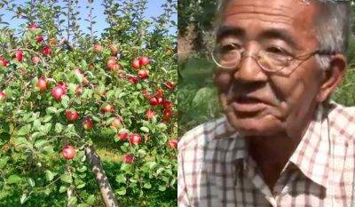 Полив яблони – залог хорошего урожая