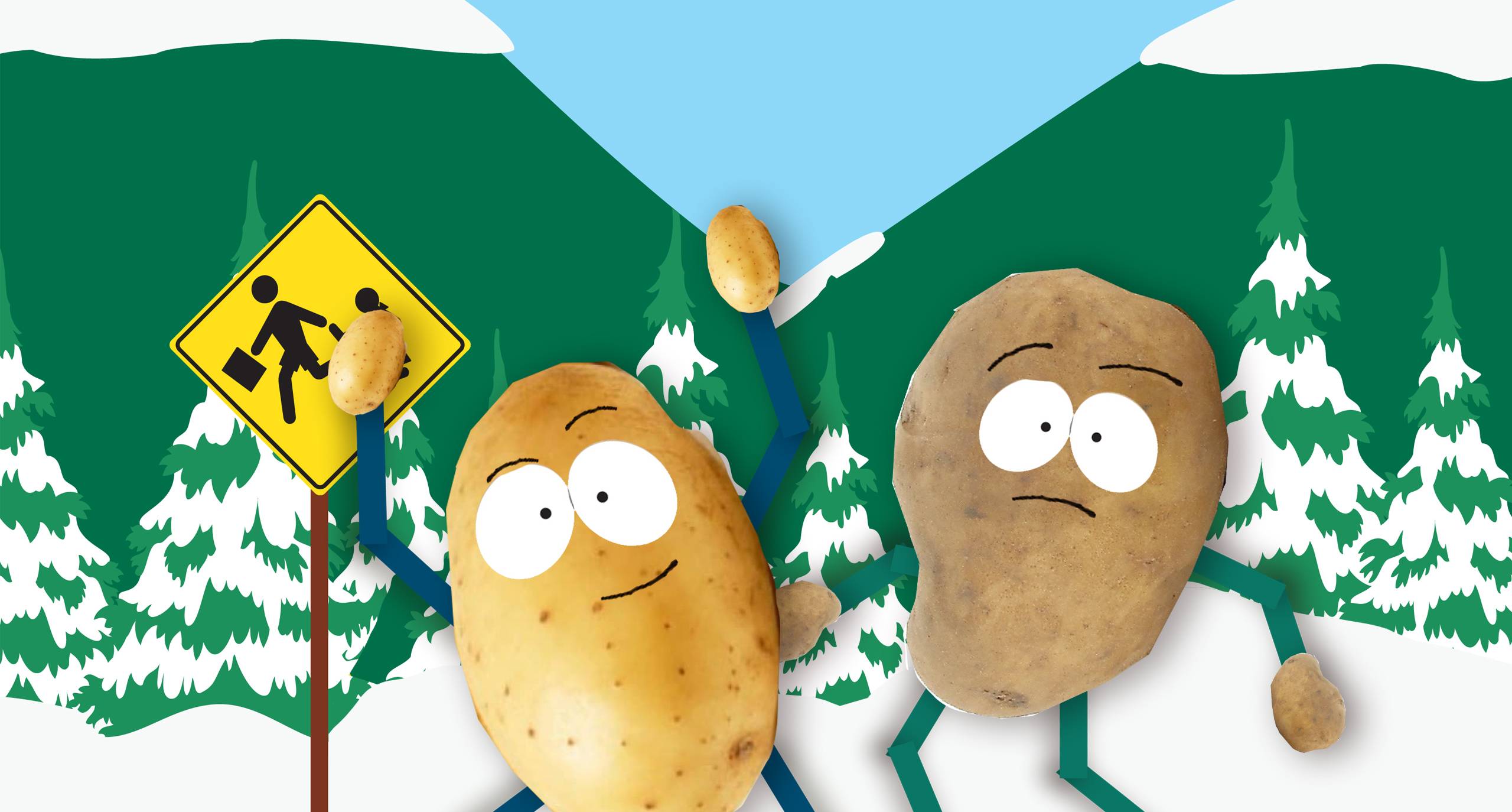 Почему зеленеет картошка и чем она опасна?