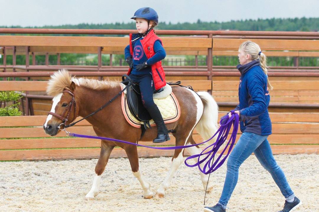 Как научиться входить в ритм движения лошади