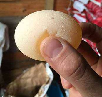 Почему куры несут яйца без скорлупы — обзор причин и что делать?