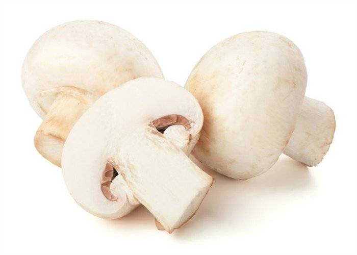 Можно ли при грудном вскармливании грибы и какие (шампиньоны и прочие)