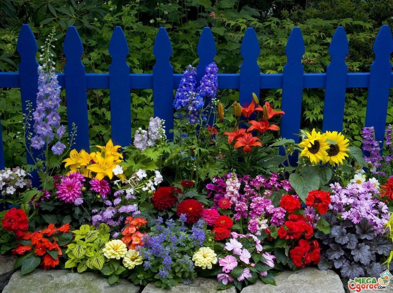 Тенелюбивые многолетники для сада: подборка лучших теневыносливых цветов