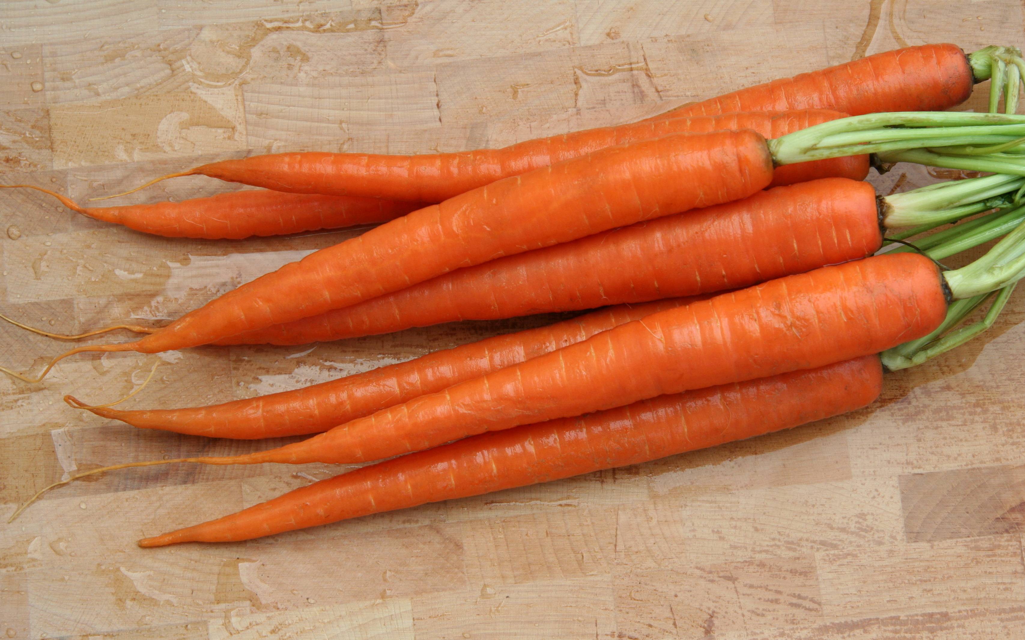 Доклад-сообщение морковь (описание для детей)