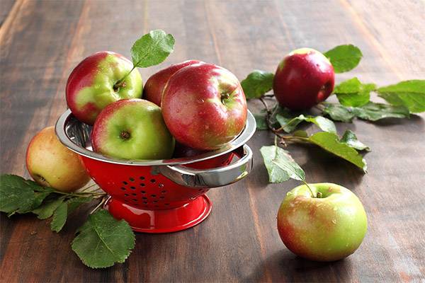 Сушеные яблоки: польза для детей и взрослых. польза для здоровья сушеных яблок, вред для организма