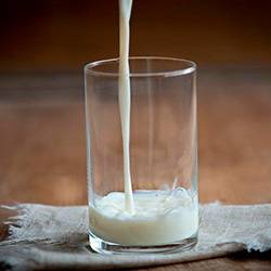 Овечье молоко - польза и состав, какие продукты из него делают