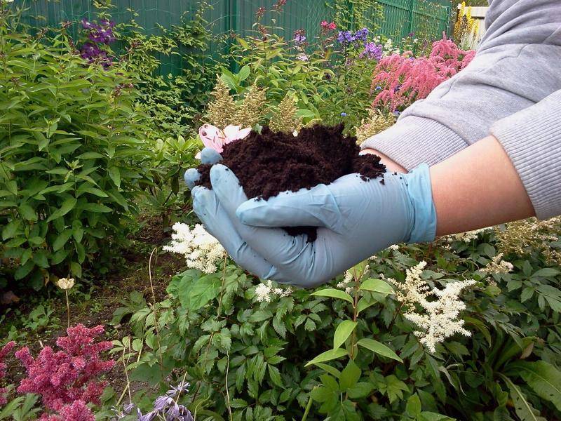 Кислотность почвы — как определить и раскислить. кислая почва. что делать? — ботаничка.ru