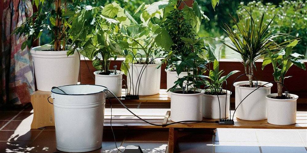 Из чего сделать автополив для комнатных растений своими руками и как обустроить домашнюю конструкцию для увлажнения грунта