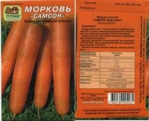 Раннеспелый гибрид моркови со сладким вкусом нандрин f1
