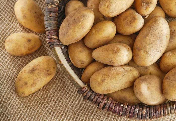 Советы дачников: как хранить картошку в квартире