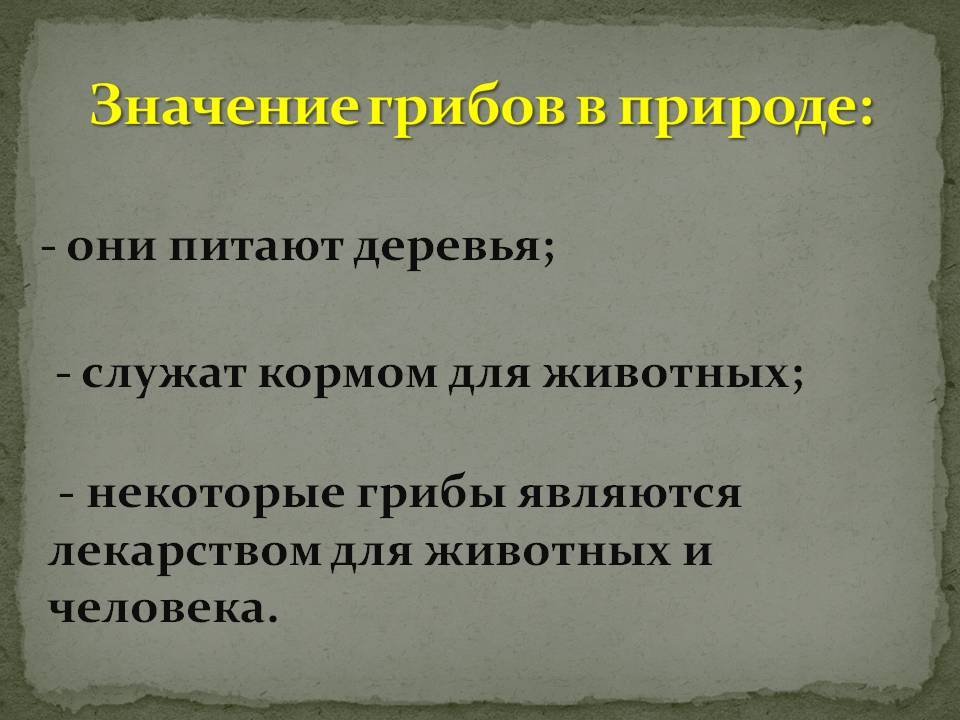 Грибы и их значение в природе и жизни человека 7 класс презентация технология