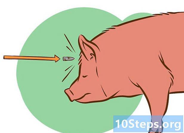Как опалить свинью или поросенка: соломой, газовой горелкой