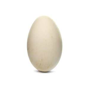Гусиные яйца: польза и вред, сколько варить | zaslonovgrad.ru