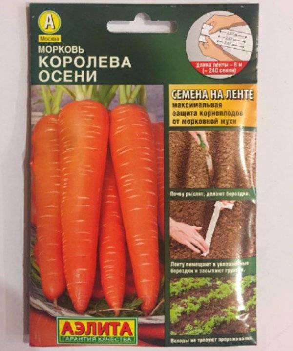 Сорт моркови королева осени — описание, фото, характеристика, особенности выращивания
