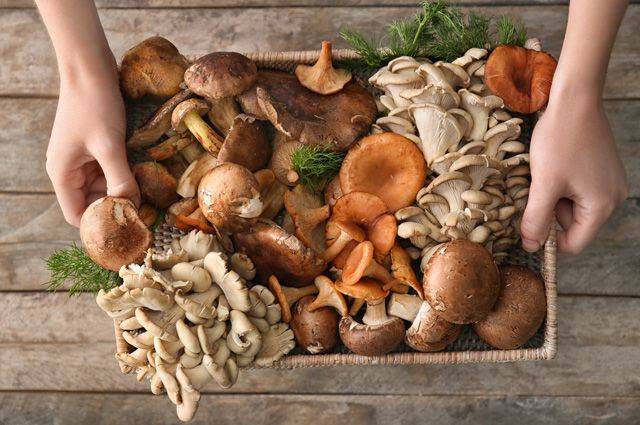 Белые грибы: рецепты приготовления блюд с фото, как правильно чистить и готовить боровики