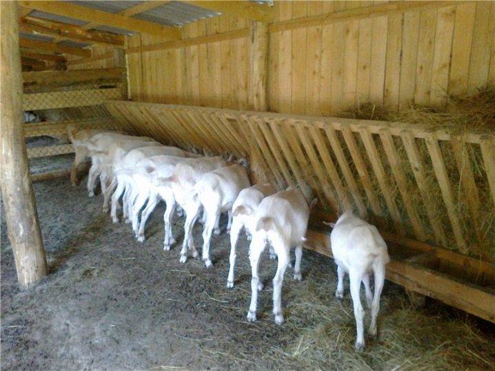 Как построить сарай для коз своими руками — пошаговое руководство