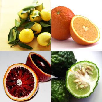 Какие цитрусовые фрукты существуют