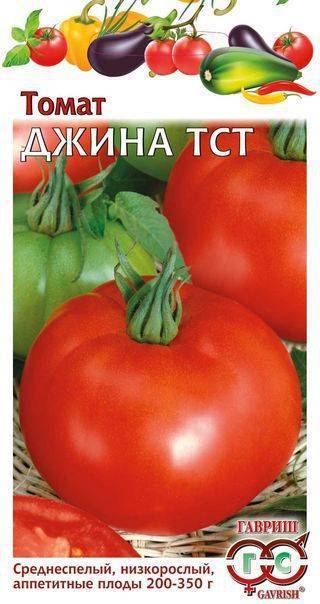 Томат "джина": характеристика и описание сорта, уникальные фото помидоров, выращивание, урожайность и борьба с вредителями русский фермер