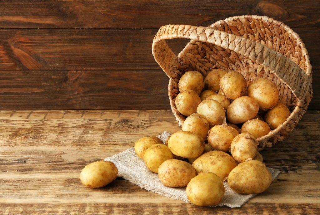 ᐉ сорт картофеля «латона» – описание и фото - roza-zanoza.ru