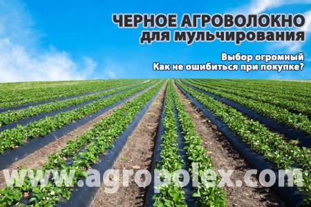Как выбрать агроволокно?