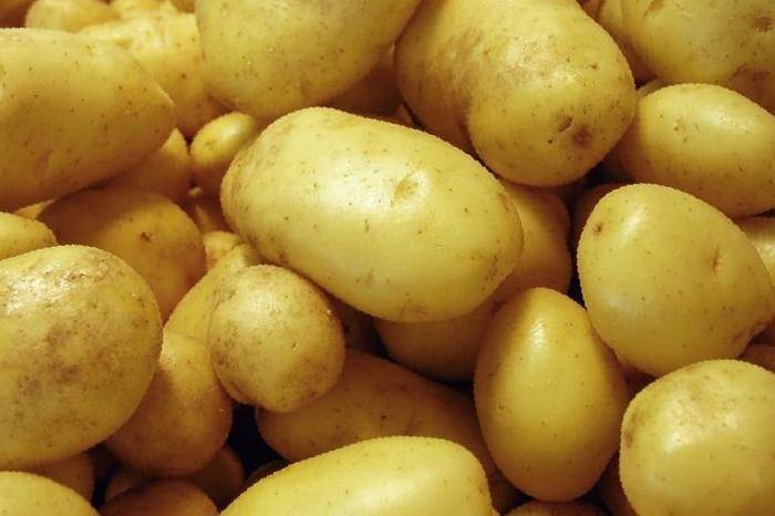 Картофель гала: характеристика и описание сорта, выращивание и уход
