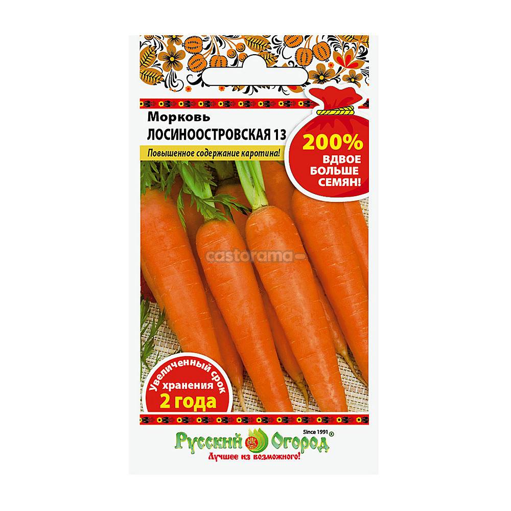 Лосиноостровская морковь: описание сорта и характеристика