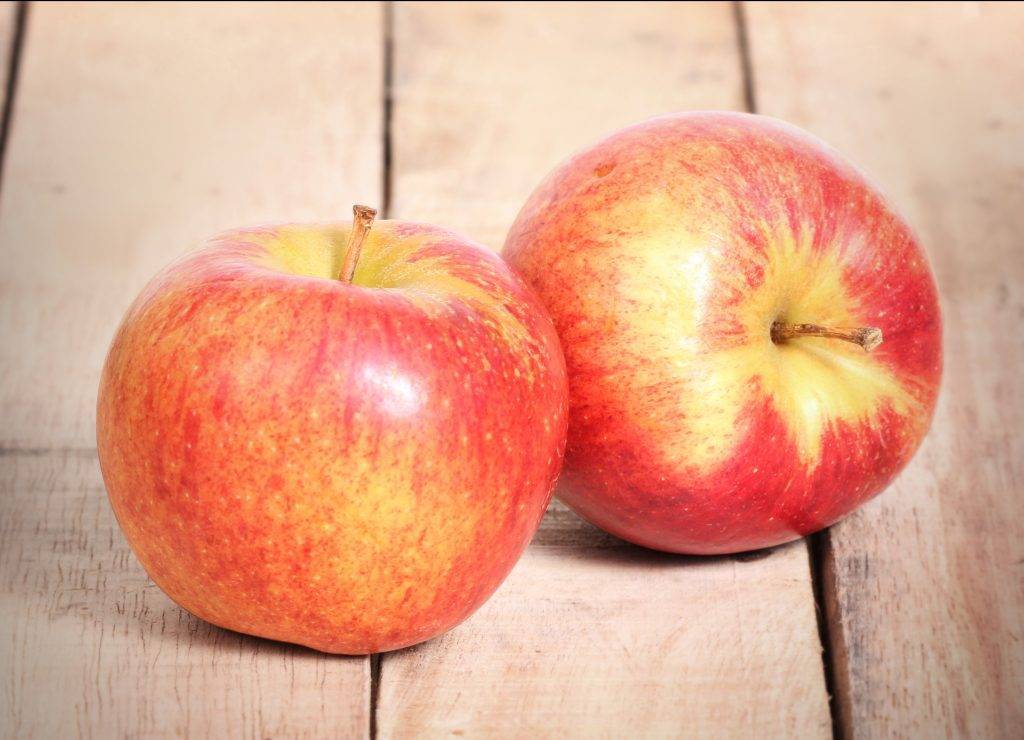 Яблоня сладкая нега — описание сорта, фото, отзывы
