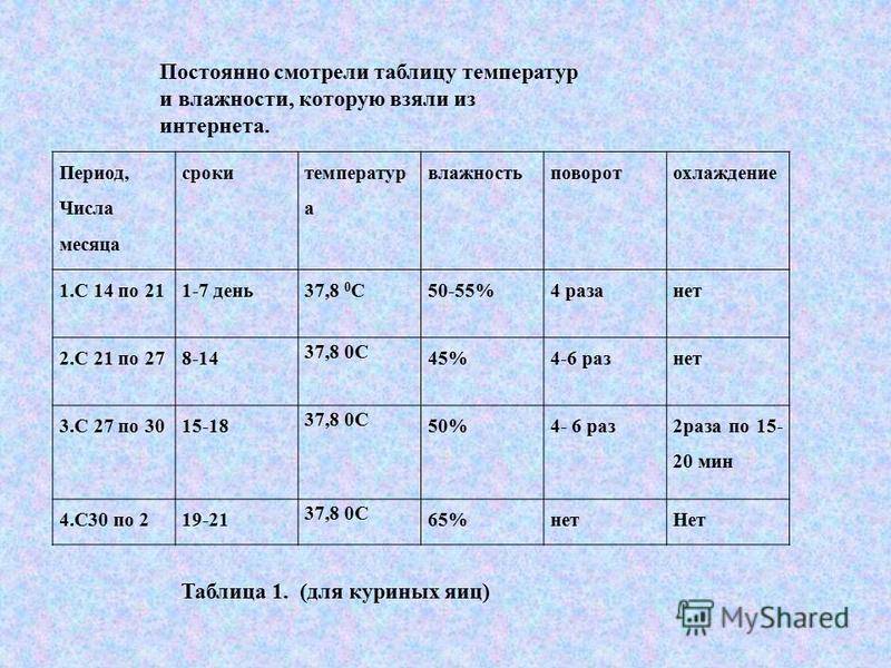 Таблица инкубации индюшиных яиц в инкубаторе